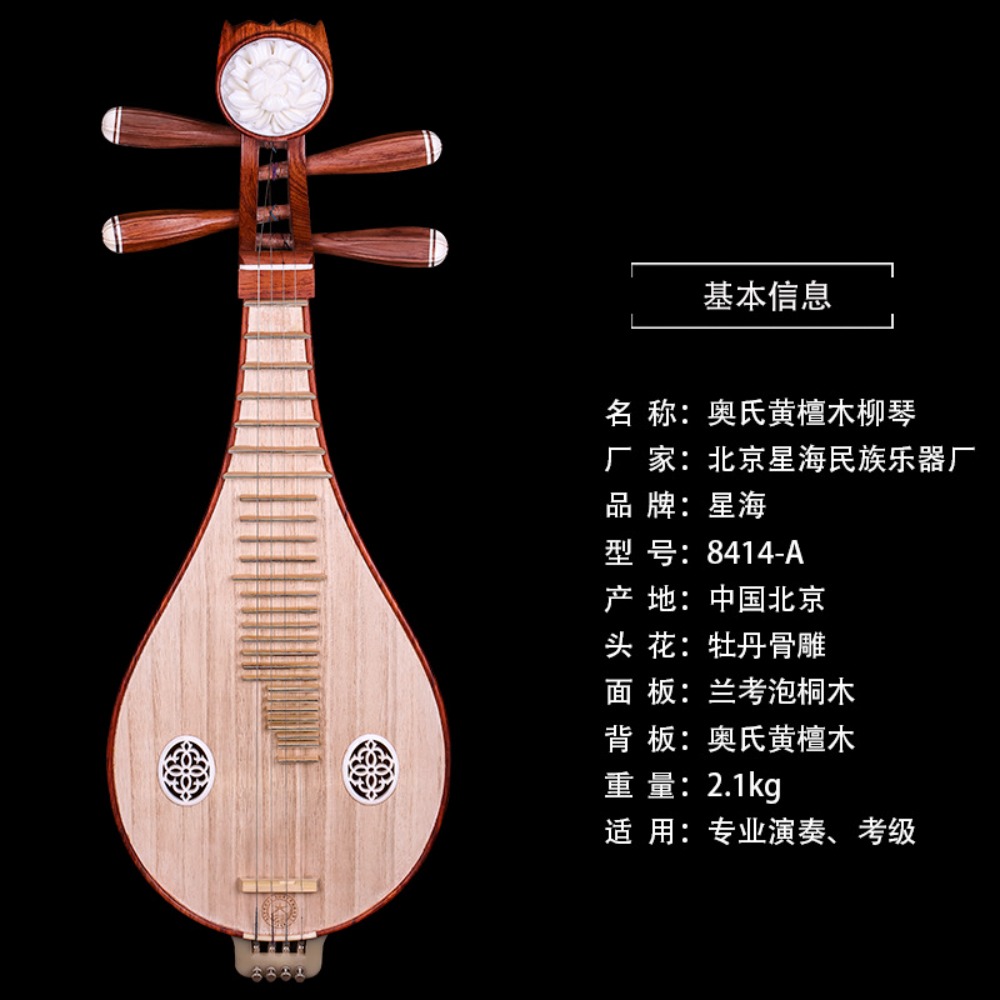 Instrumento Musical Nacional C - Musical Instrument Music avaliação e preço